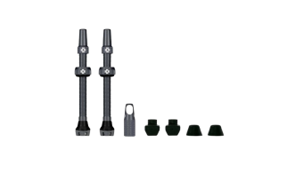 Doctorbike VALVOLA MUC-OFF TUBELESS 60MM GRIGIO COPPIA